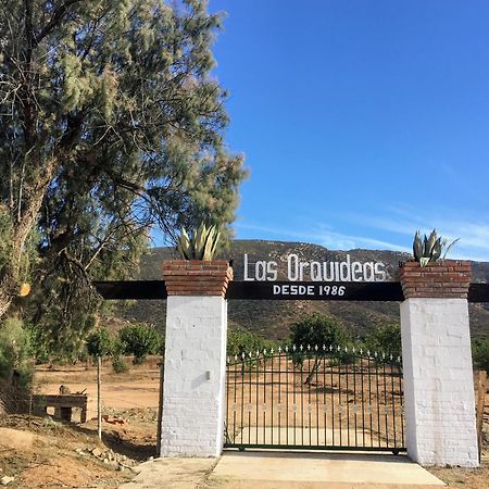 Las Orquideas Valle de Guadalupe Ngoại thất bức ảnh
