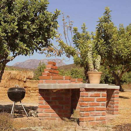 Las Orquideas Valle de Guadalupe Ngoại thất bức ảnh
