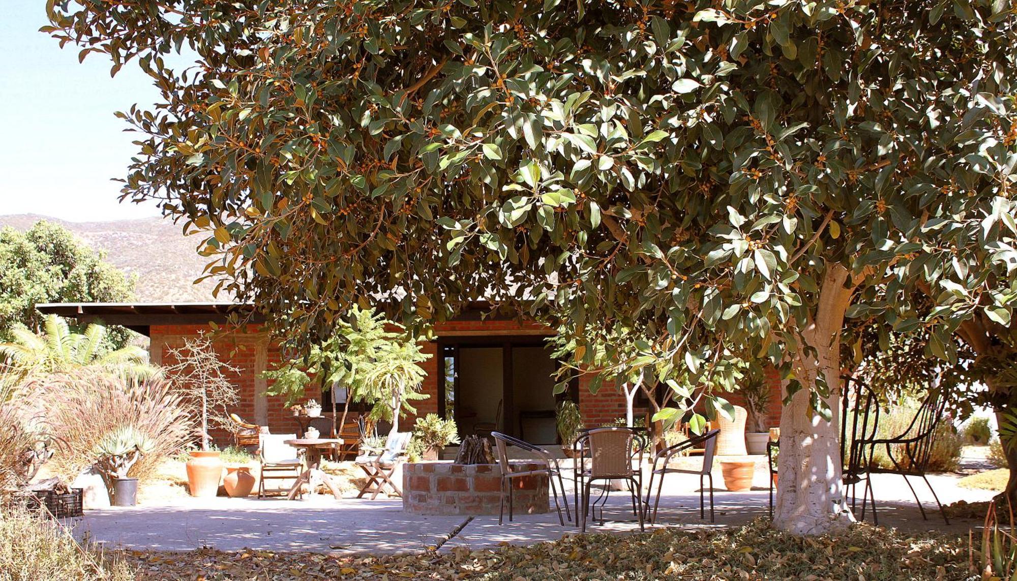 Las Orquideas Valle de Guadalupe Ngoại thất bức ảnh