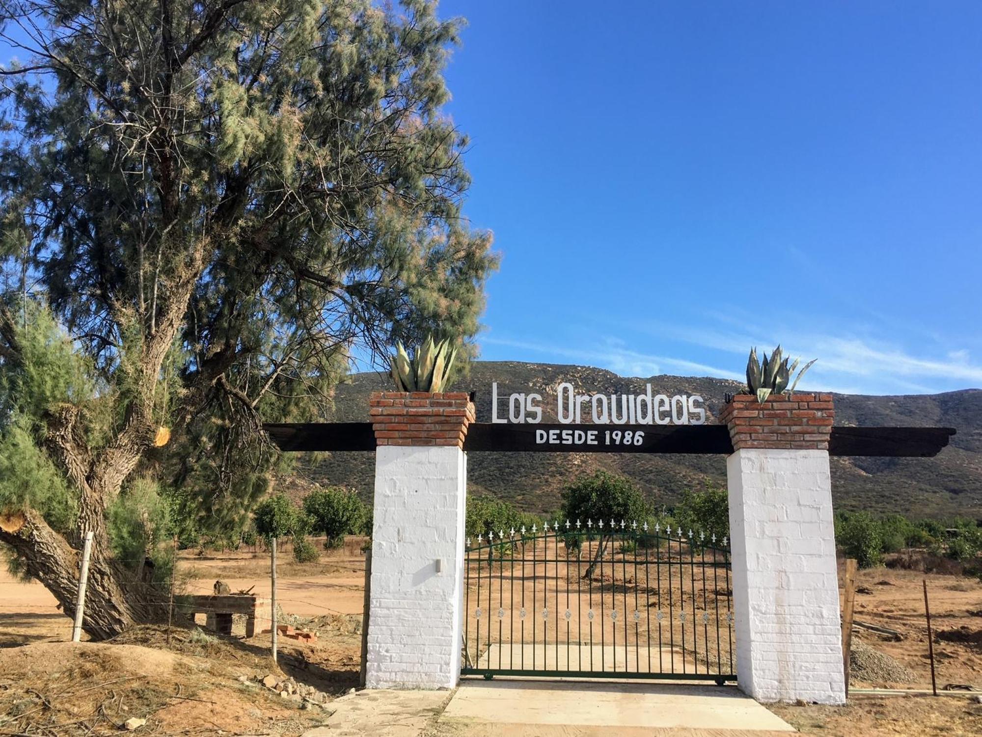 Las Orquideas Valle de Guadalupe Ngoại thất bức ảnh