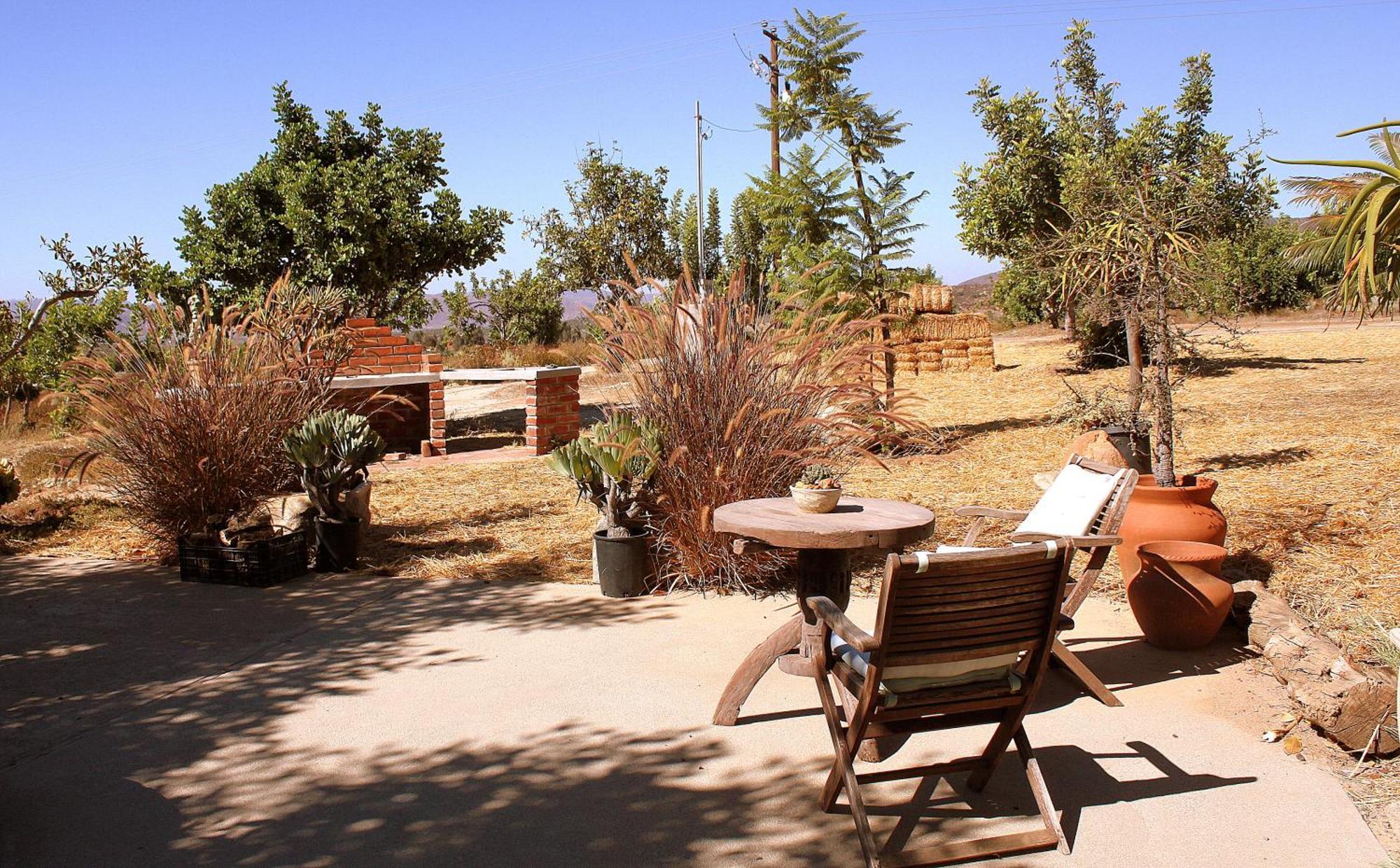 Las Orquideas Valle de Guadalupe Ngoại thất bức ảnh