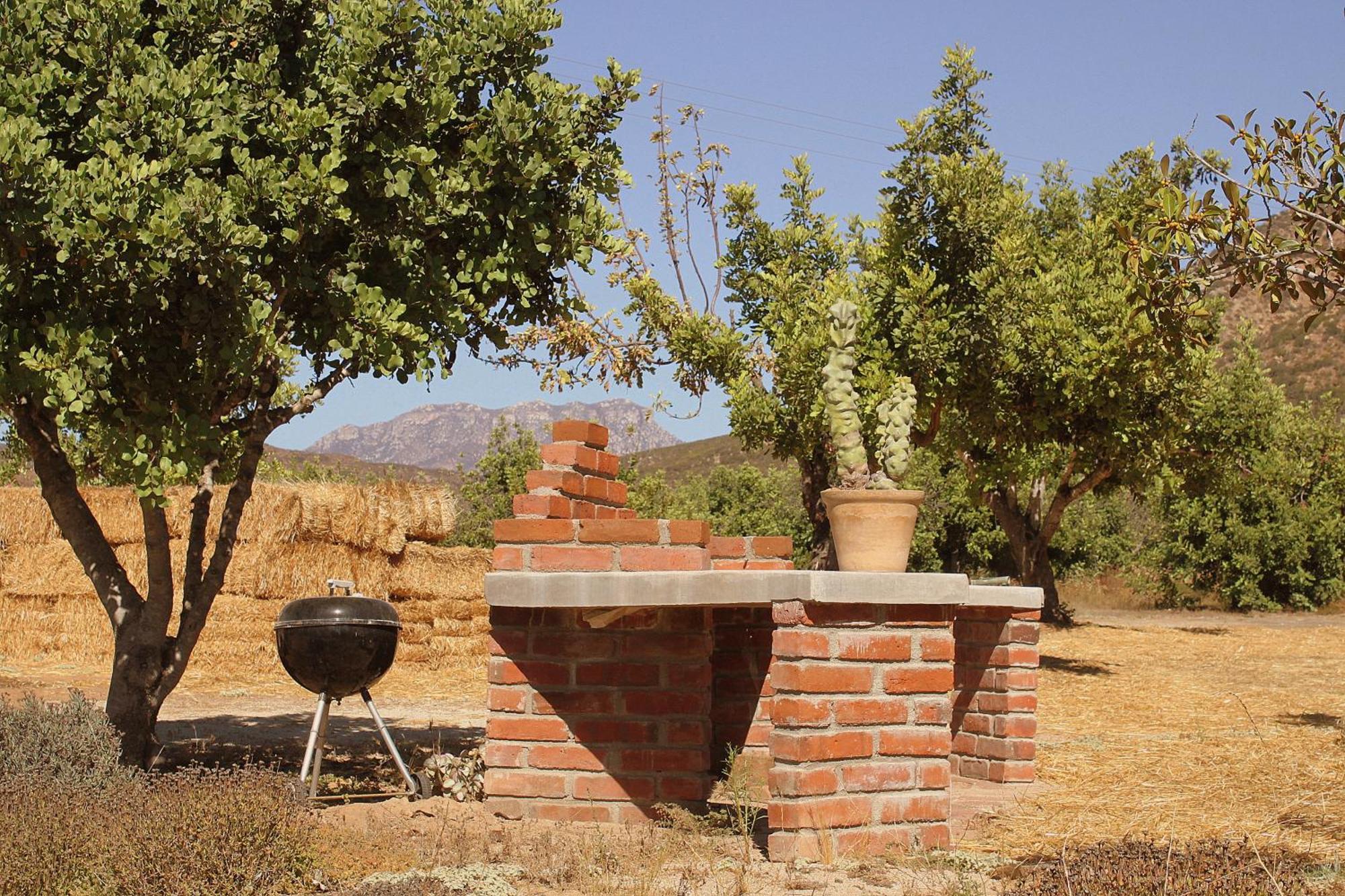 Las Orquideas Valle de Guadalupe Ngoại thất bức ảnh