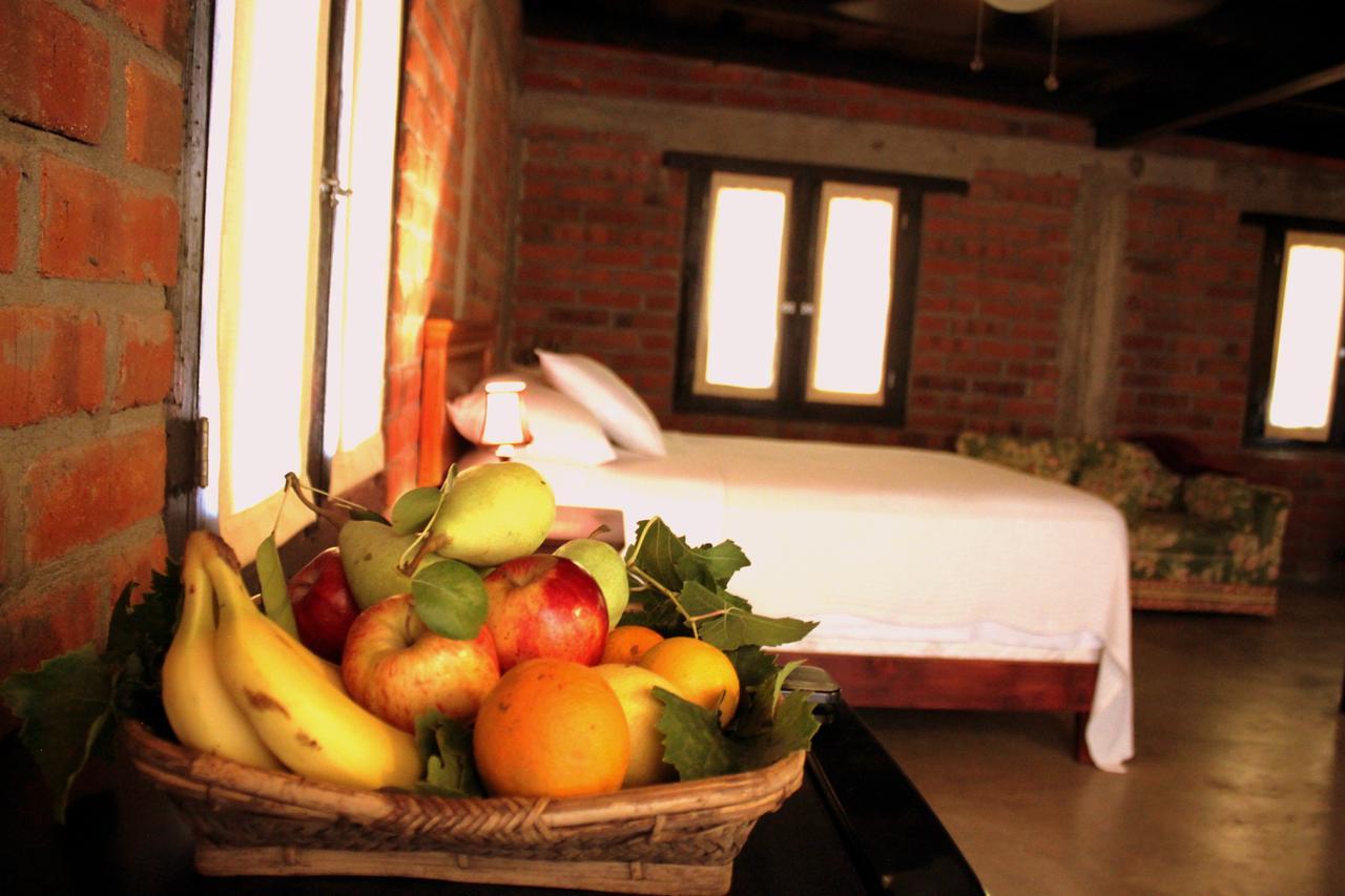 Las Orquideas Valle de Guadalupe Ngoại thất bức ảnh