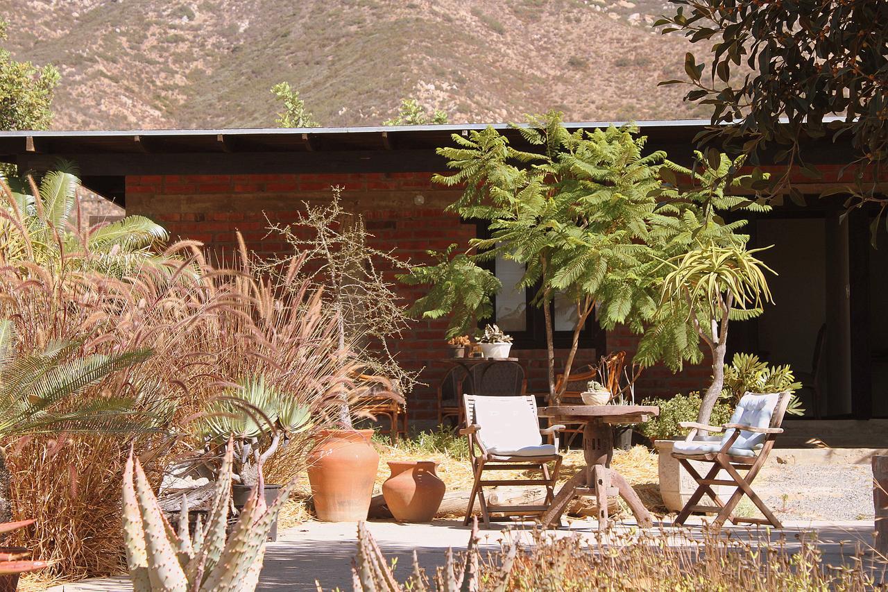 Las Orquideas Valle de Guadalupe Ngoại thất bức ảnh